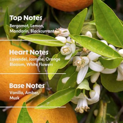 She's Free Eau de Parfum 30 ml